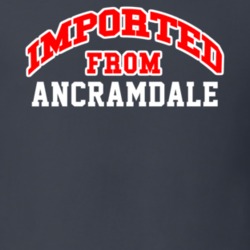 Imported From Ancramdale New York Sports Team Trade T Shirt 13909461