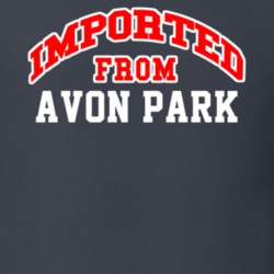 Imported From Avon Park Florida Sports Team Trade T Shirt 13921170