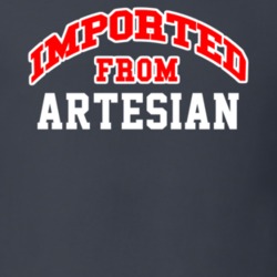 Imported From Artesian South Dakota Sports Team Trade T Shirt 13938591