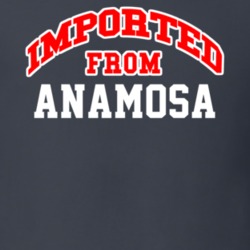 Imported From Anamosa Iowa Sports Team Trade T Shirt 13943107