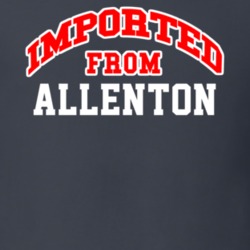 Imported From Allenton Wisconsin Sports Team Trade T Shirt 13965395