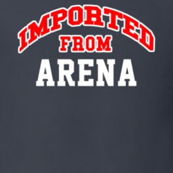Imported From Arena Wisconsin Sports Team Trade T Shirt 13965493