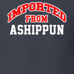 Imported From Ashippun Wisconsin Sports Team Trade T Shirt 13965517