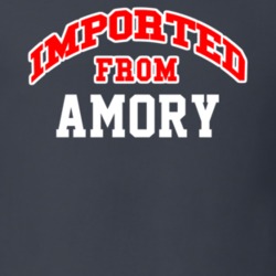 Imported From Amory Mississippi Sports Team Trade T Shirt 13979106
