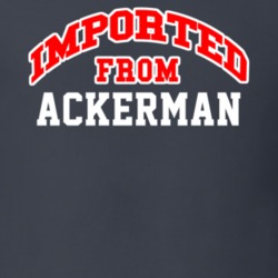 Imported From Ackerman Mississippi Sports Team Trade T Shirt 13980281