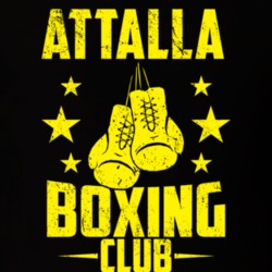 Attalla Alabama Boxing Club Cool Sports Fitness T Shirt 32582454
