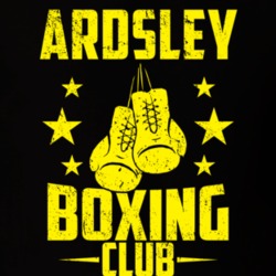 Ardsley New York Boxing Club Cool Sports Fitness T Shirt 32587570