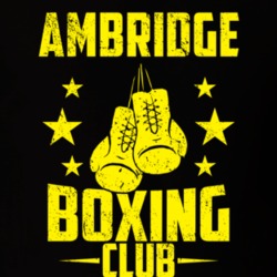 Ambridge Pennsylvania Boxing Club Cool Sports Fitness T Shirt 32601819
