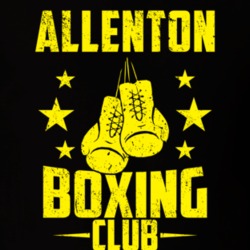 Allenton Wisconsin Boxing Club Cool Sports Fitness T Shirt 32630283