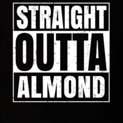 Straight Outta Almond New York City Compton Parody T Shirt 18977906