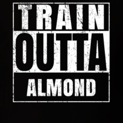 Train Outta Almond New York City Straight Outta Parody Crossfit Boxing MMA T Shirt 19325613