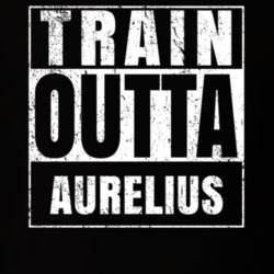 Train Outta Aurelius New York City Straight Outta Parody Crossfit Boxing MMA T Shirt 19326145
