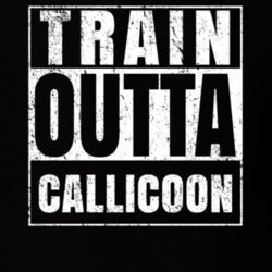 Train Outta Callicoon New York City Straight Outta Parody Crossfit Boxing MMA T Shirt 19328227