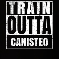 Train Outta Canisteo New York City Straight Outta Parody Crossfit Boxing MMA T Shirt 19328492