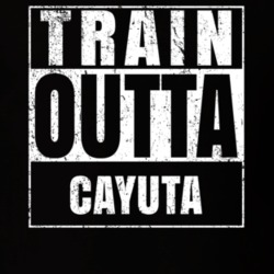 Train Outta Cayuta New York City Straight Outta Parody Crossfit Boxing MMA T Shirt 19329048