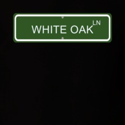 38582501