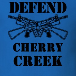 Cherry Creek Chautauqua County New York State Defend T Shirt 5328075