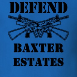 Baxter Estates Nassau County New York State Defend T Shirt 5328173