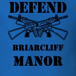 Briarcliff Manor Westchester County New York State Defend T Shirt 5328717
