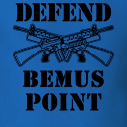 Bemus Point Chautauqua County New York State Defend T Shirt 5328909