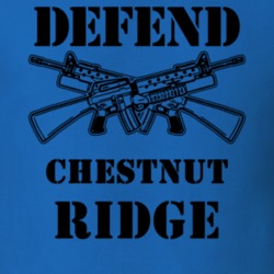 Chestnut Ridge Rockland County New York State Defend T Shirt 5328964