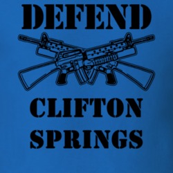 Clifton Springs Ontario County New York State Defend T Shirt 5329041