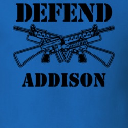 Addison Steuben County New York State Defend T Shirt 5329241