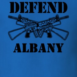 Albany Albany County New York State Defend T Shirt 5329265