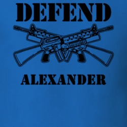 Alexander Genesee County New York State Defend T Shirt 5329286