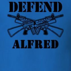 Alfred Allegany County New York State Defend T Shirt 5329298