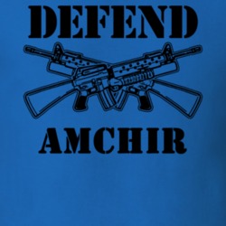 Amchir Orange County New York State Defend T Shirt 5329346