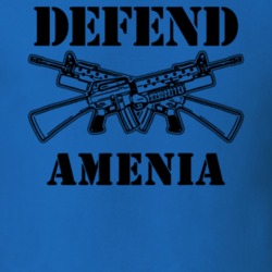 Amenia Dutchess County New York State Defend T Shirt 5329350