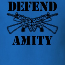 Amity Allegany County New York State Defend T Shirt 5329370