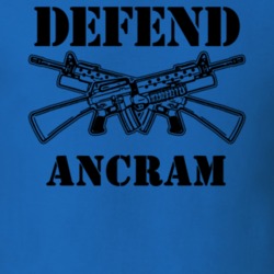 Ancram Columbia County New York State Defend T Shirt 5329383