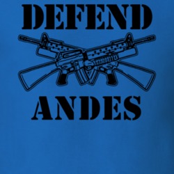 Andes Delaware County New York State Defend T Shirt 5329388