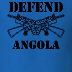 Angola Erie County New York State Defend T Shirt 5329404