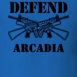 Arcadia Wayne County New York State Defend T Shirt 5329425