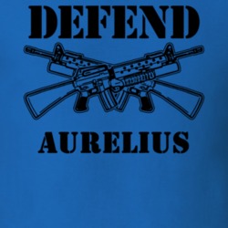 Aurelius Cayuga County New York State Defend T Shirt 5329505