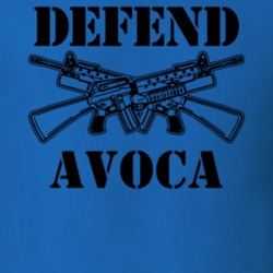 Avoca Steuben County New York State Defend T Shirt 5329536