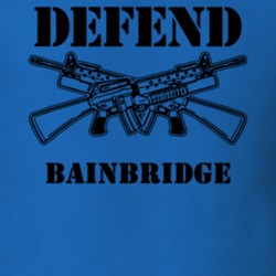 Bainbridge Chenango County New York State Defend T Shirt 5329551