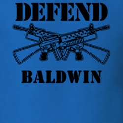 Baldwin Chemung County New York State Defend T Shirt 5329556