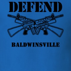 Baldwinsville Onondaga County New York State Defend T Shirt 5329562