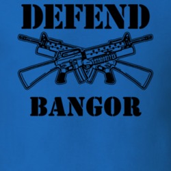 Bangor Franklin County New York State Defend T Shirt 5329573