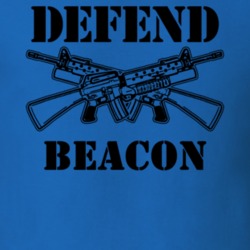 Beacon Dutchess County New York State Defend T Shirt 5329628