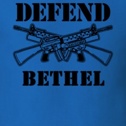 Bethel Sullivan County New York State Defend T Shirt 5329714
