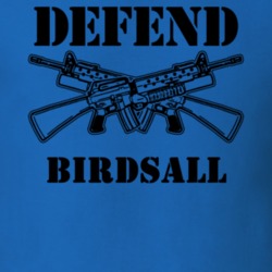 Birdsall Allegany County New York State Defend T Shirt 5329729