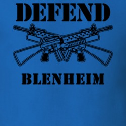 Blenheim Schoharie County New York State Defend T Shirt 5329742