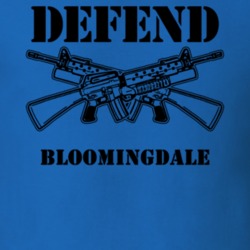 Bloomingdale Essex County New York State Defend T Shirt 5329758