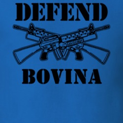 Bovina Delaware County New York State Defend T Shirt 5329788