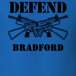 Bradford Steuben County New York State Defend T Shirt 5329799